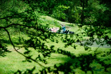 Botanischer Garten